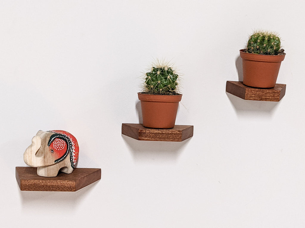 Small Trapezoid Display Shelf in Oak