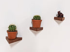 Small Triangle Display Shelf in Oak