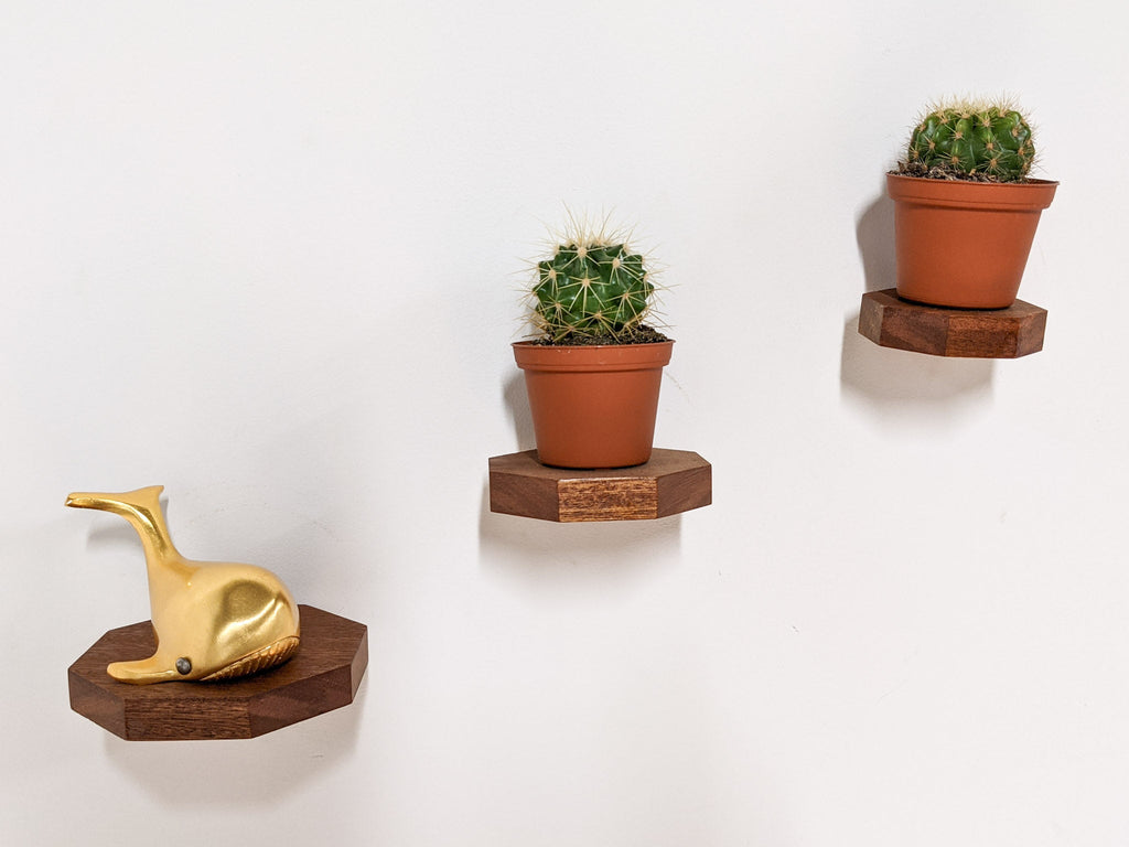 Small Octagon Display Shelf in Oak