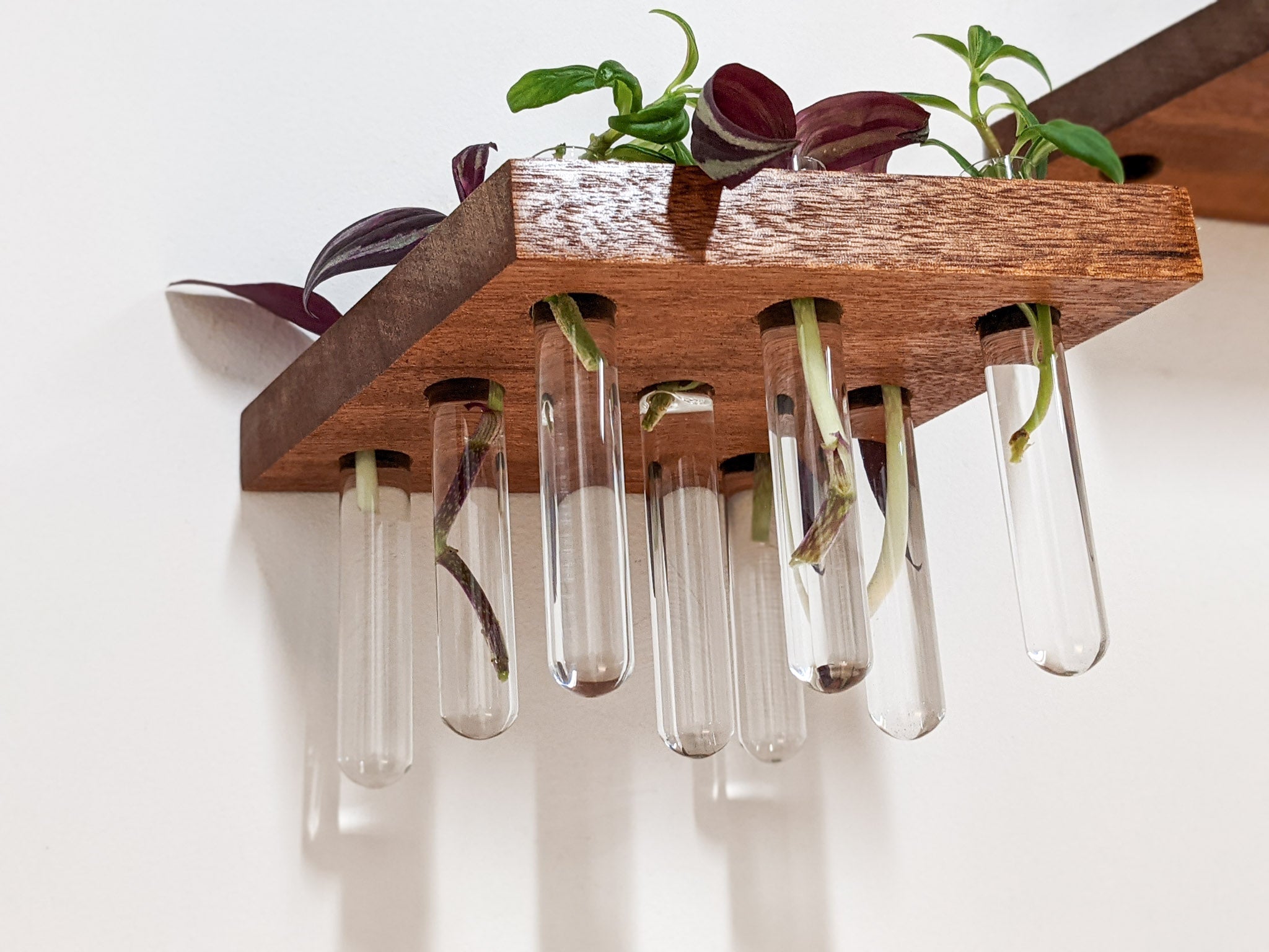 Propagation Shelf Set for Plant Cuttings
