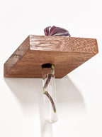 Rhombus Propagation Station Shelf for Plant Cuttings