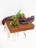 Square Propagation Station Shelf for Plant Cuttings
