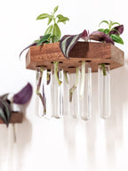 Propagation Shelf Set for Plant Cuttings