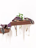 Propagation Shelf Set for Plant Cuttings