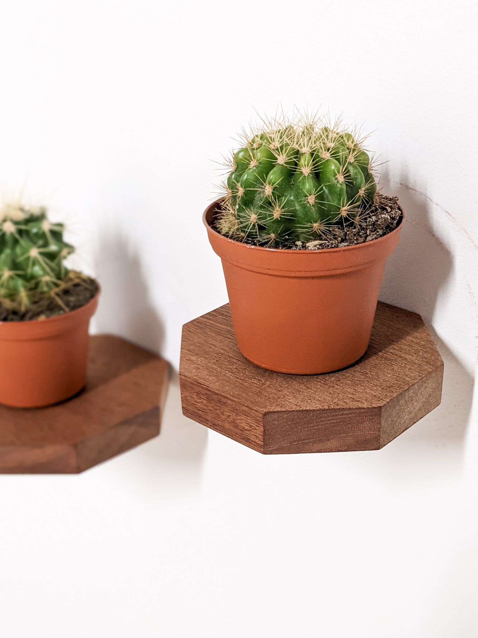 Small Octagon Display Shelf in Oak