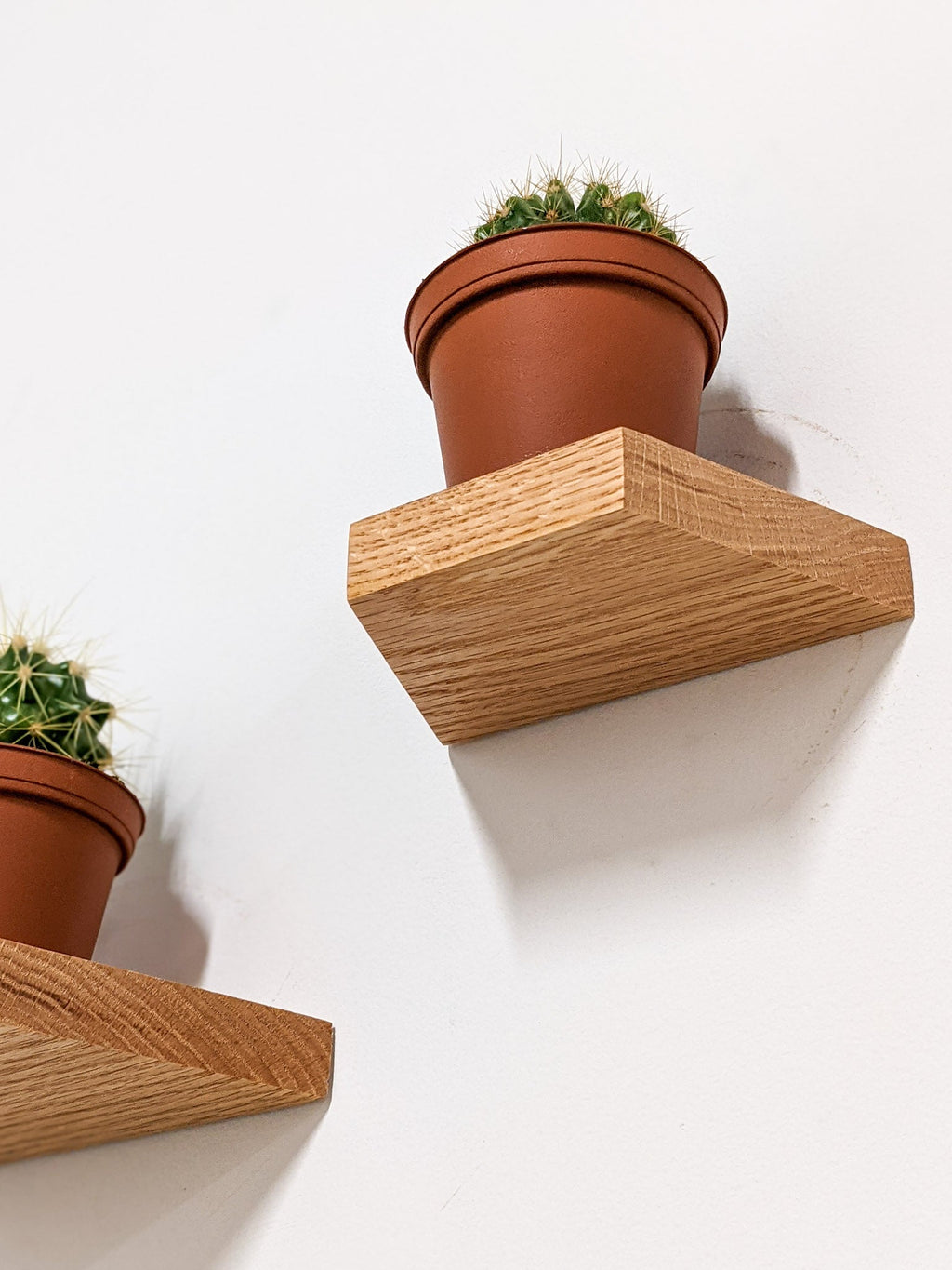 Small Trapezoid Display Shelf in Oak