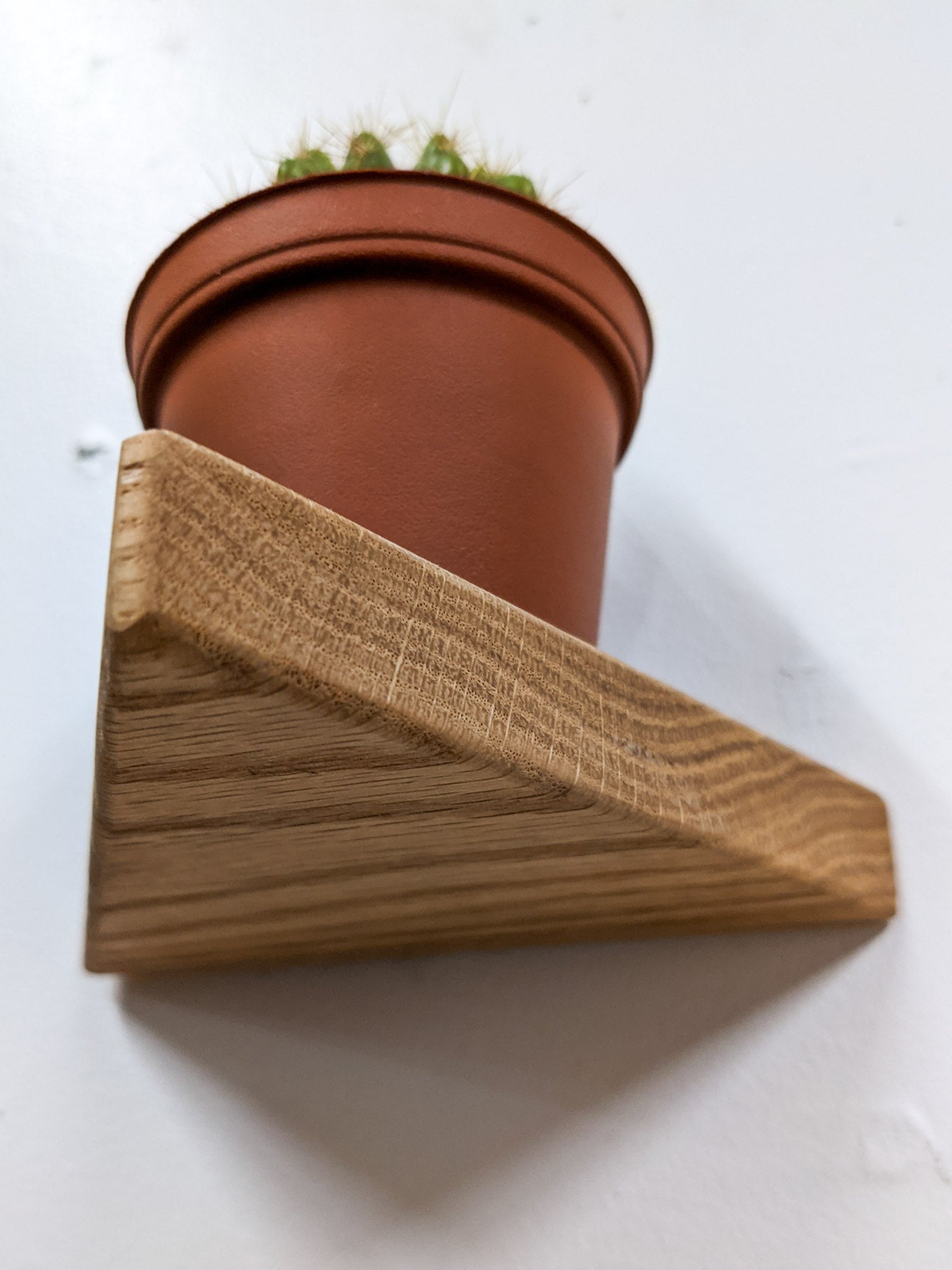 Small Triangle Display Shelf in Oak