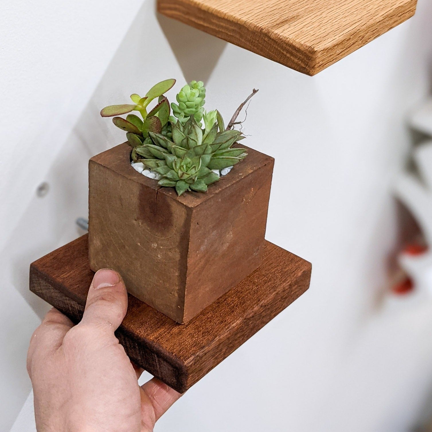 Small Square Display Shelf in Mahogany