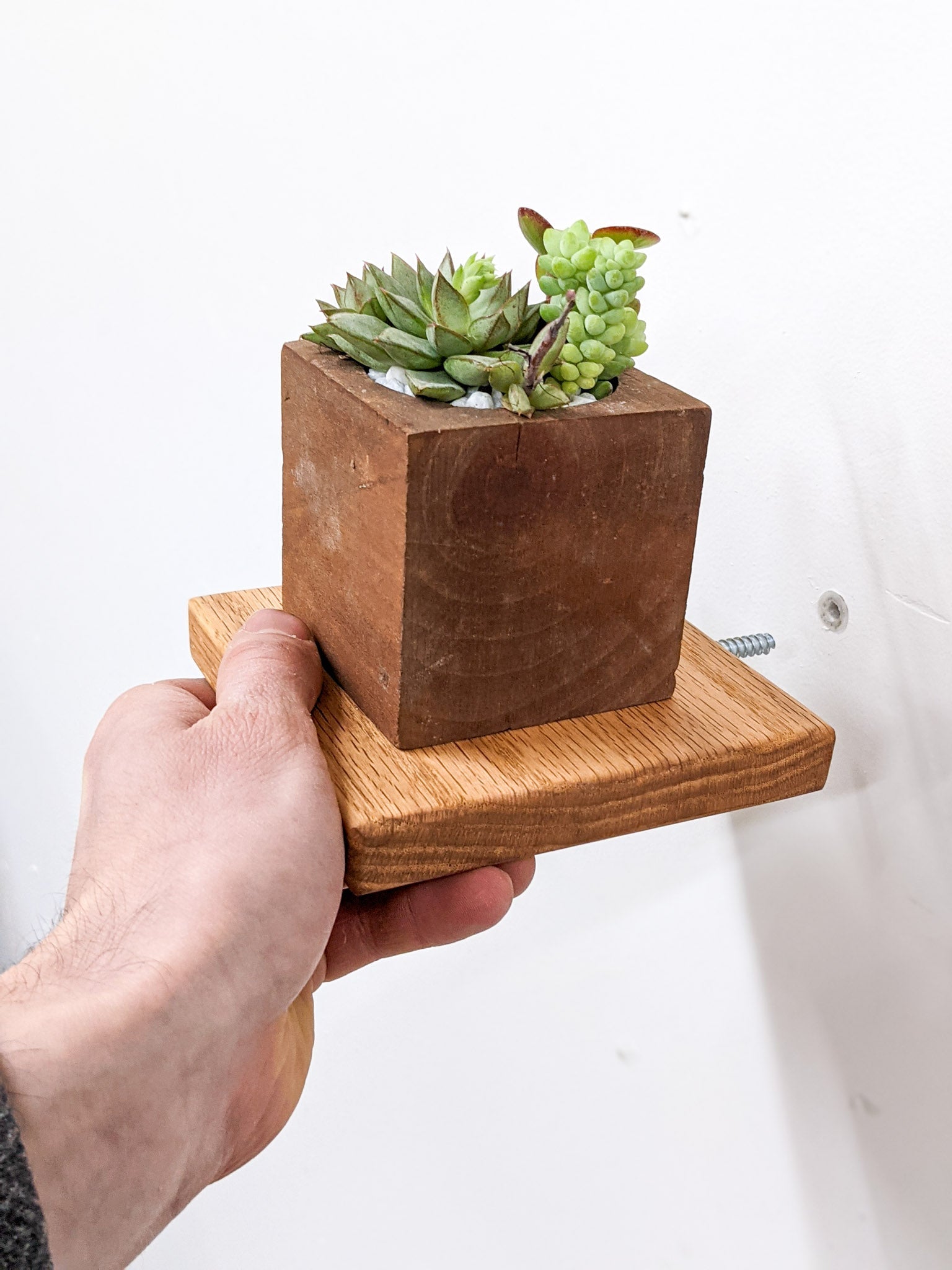 Small Square Display Shelf in Oak