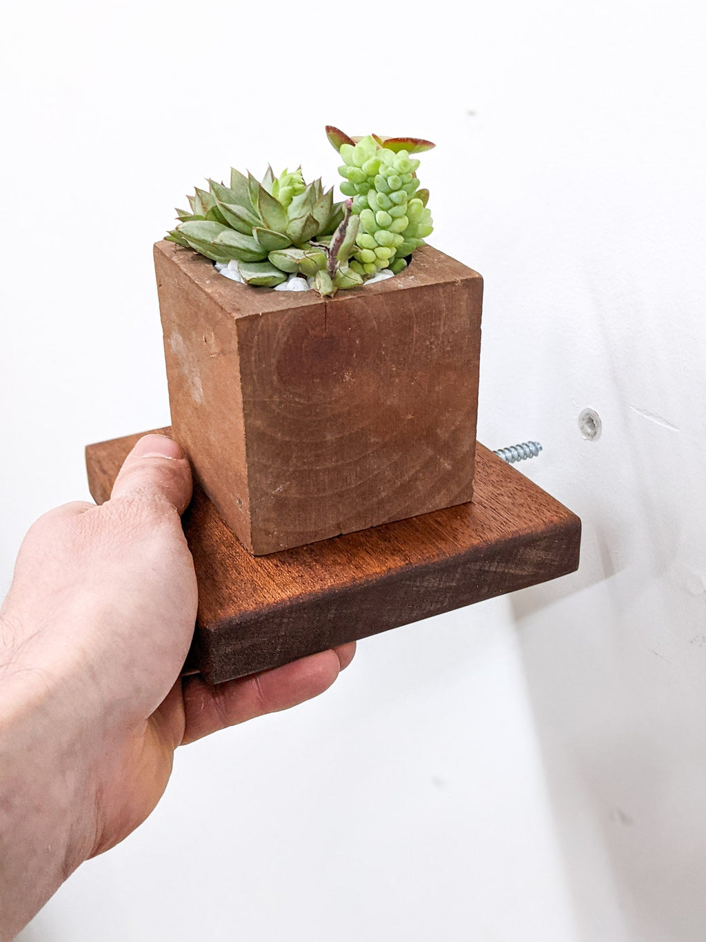 Small Square Display Shelf in Mahogany