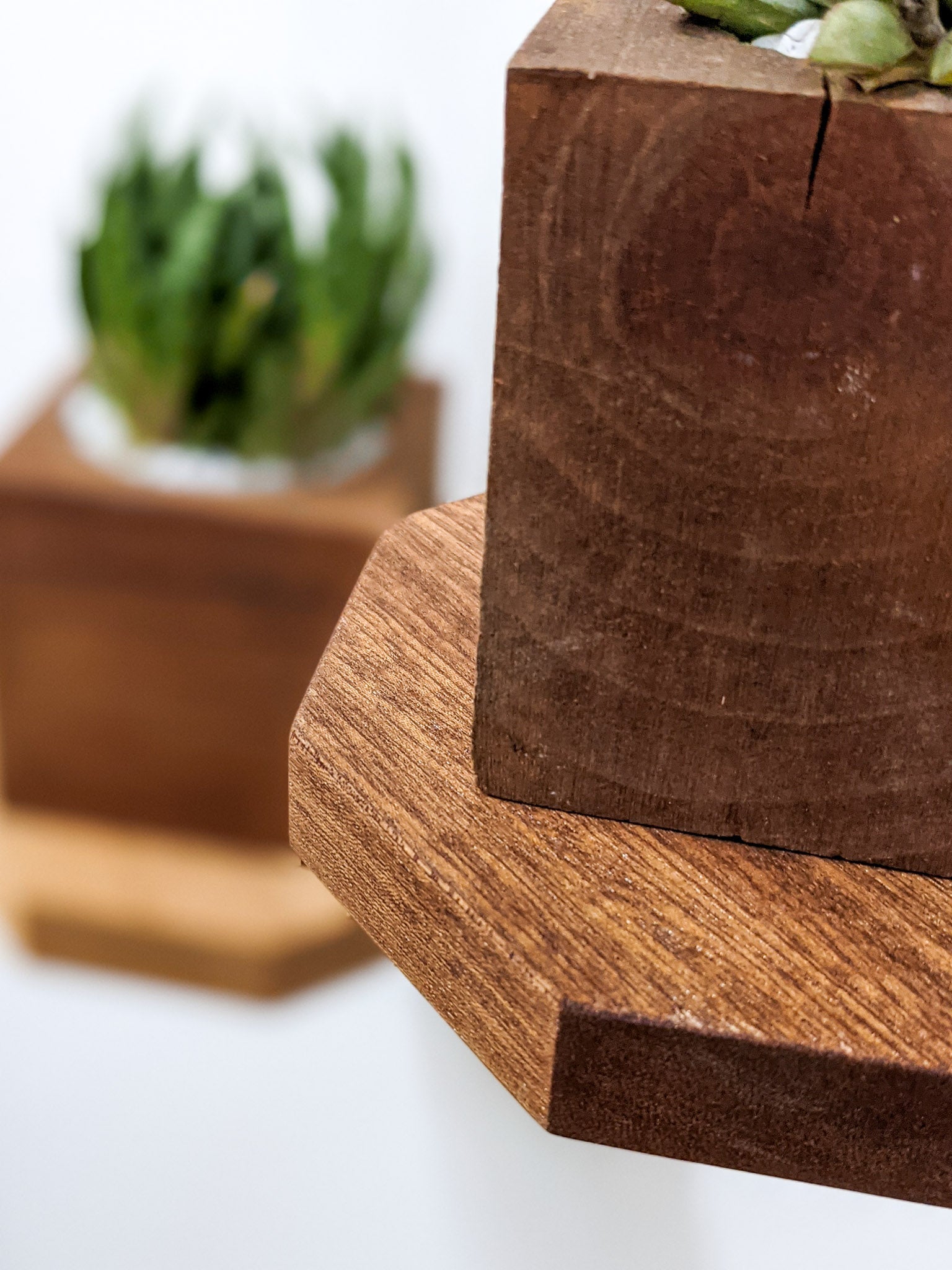 Small Octagon Display Shelf in Oak