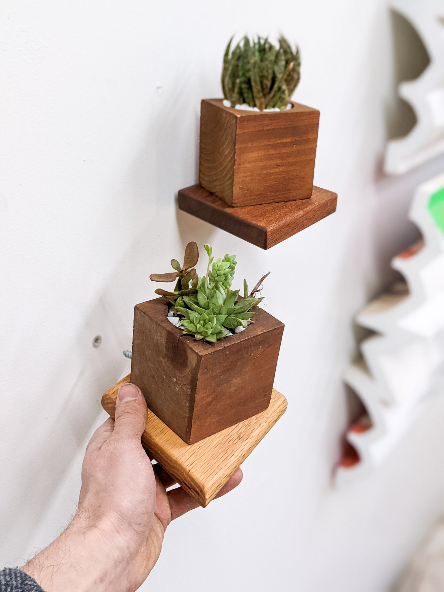 Small Rhombus Display Shelf in Oak