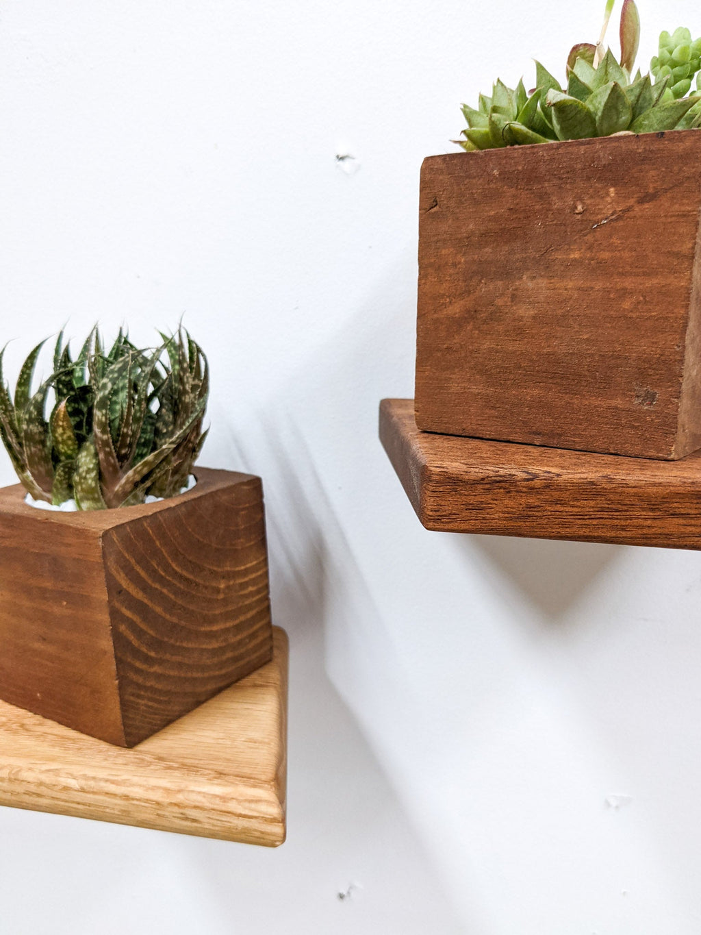 Small Rhombus Display Shelf in Mahogany