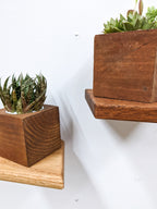 Small Rhombus Display Shelf in Oak