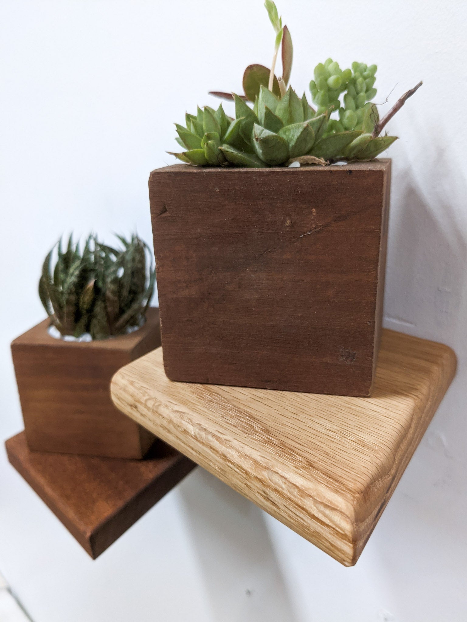 Small Rhombus Display Shelf in Mahogany
